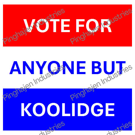Vote for anyone but KOOLIDGE | Unisex Classic Tee | Gildan 5000