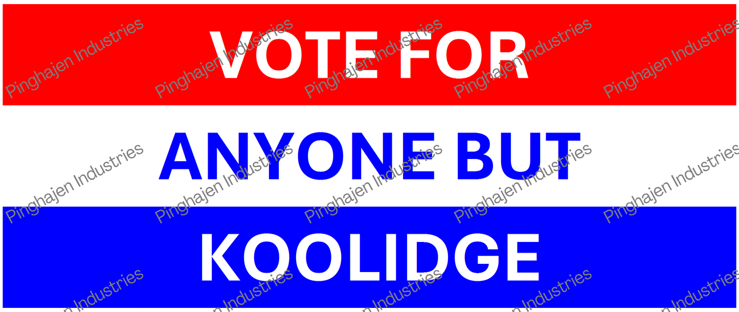 Vote for anyone but KOOLIDGE | White Glossy Mug