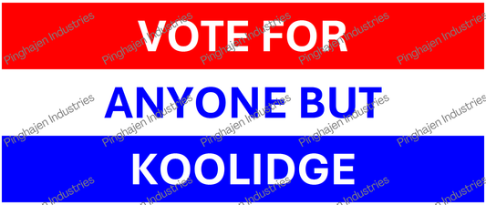 Vote for anyone but KOOLIDGE | White Glossy Mug