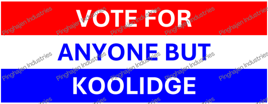 Vote for anyone but KOOLIDGE | White Glossy Mug