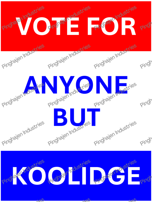 Vote for anyone but KOOLIDGE | Unisex Classic Tee | Gildan 5000