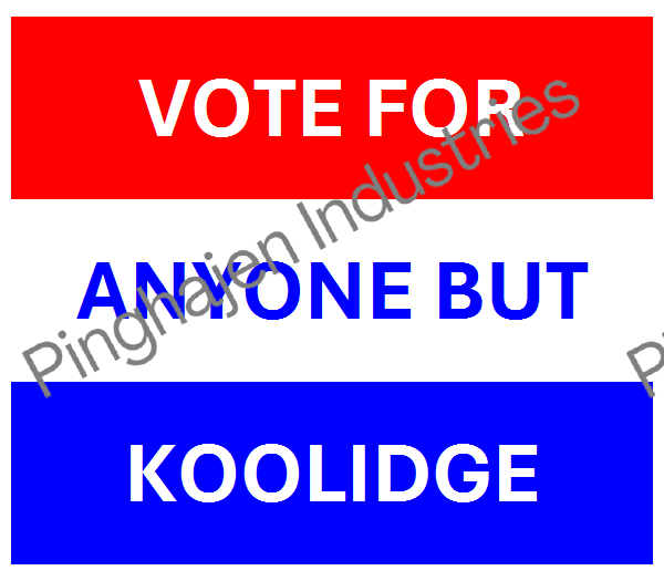 Vote for anyone but KOOLIDGE | Unisex Classic Tee | Gildan 5000