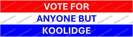 Vote for anyone but KOOLIDGE | Kiss-Cut Stickers