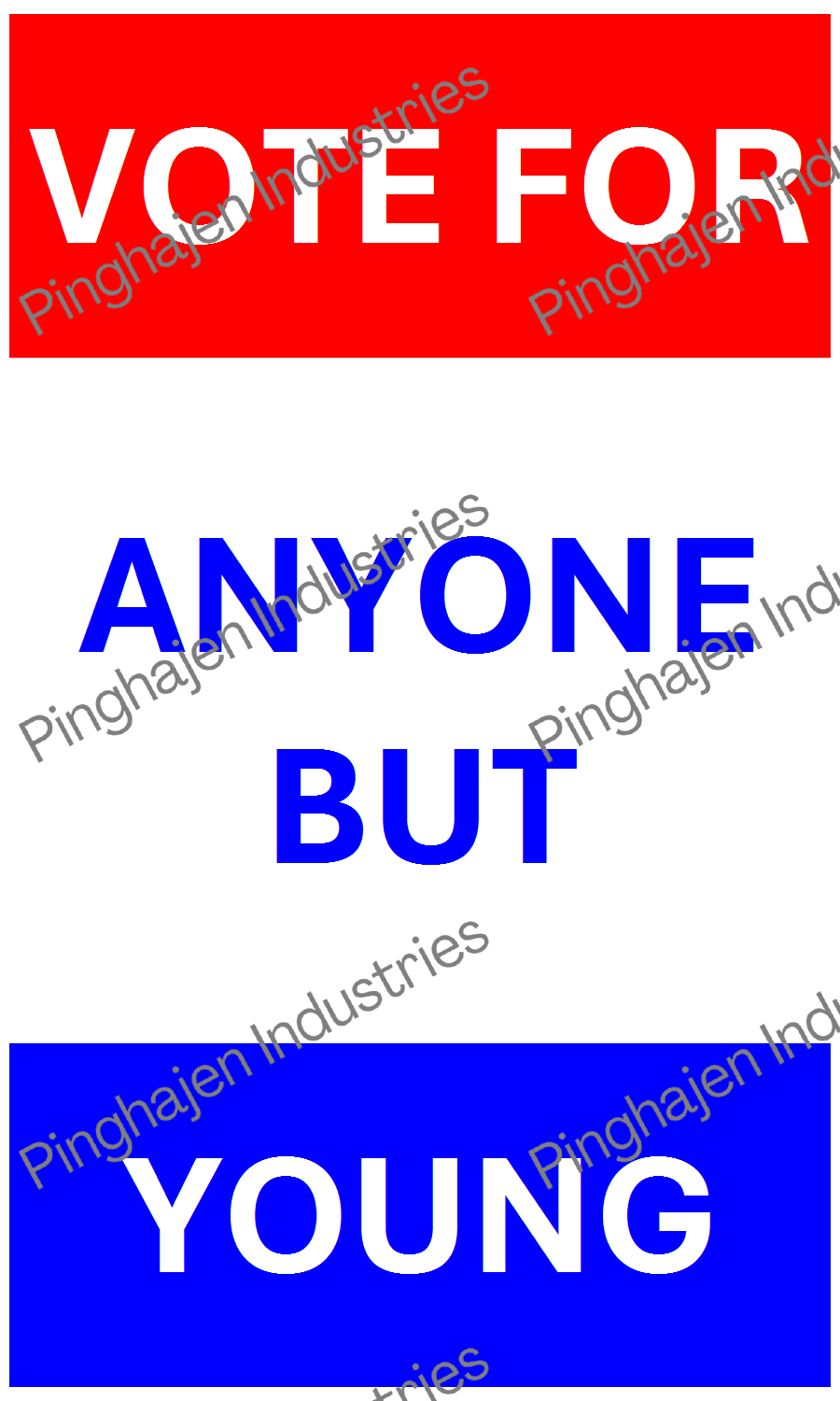 Vote for anyone but YOUNG | Hardcover Bound Notebook | JournalBook®