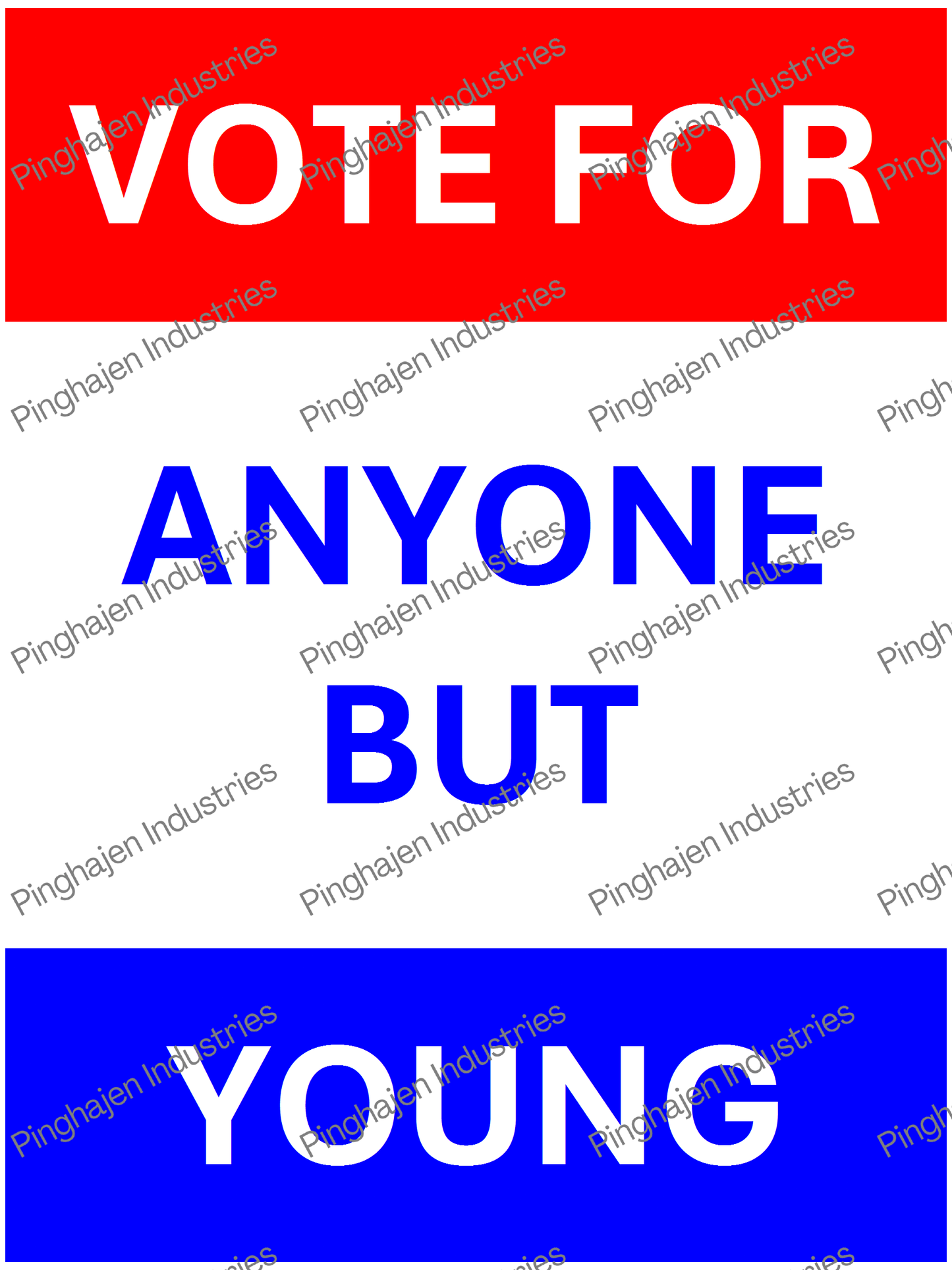 Vote for anyone but YOUNG | Unisex Classic Tee | Gildan 5000