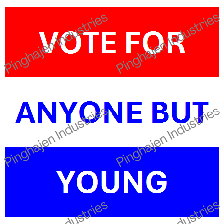 Vote for anyone but YOUNG | Unisex Classic Tee | Gildan 5000