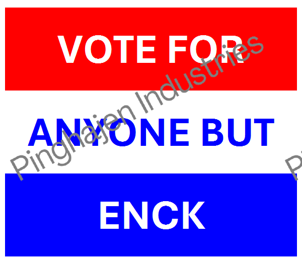 Vote for anyone but ENCK | Unisex Classic Tee | Gildan 5000