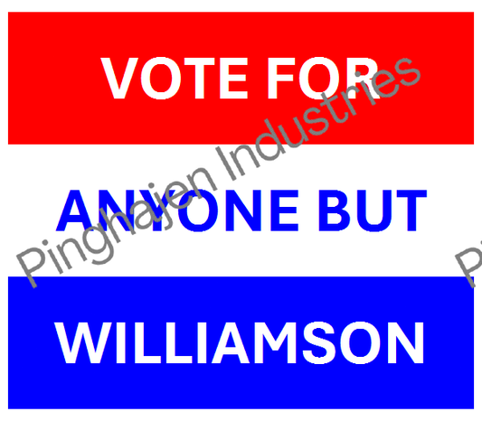 Vote for anyone but WILLIAMSON | Unisex Classic Tee | Gildan 5000