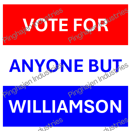 Vote for anyone but WILLIAMSON | Unisex Classic Tee | Gildan 5000