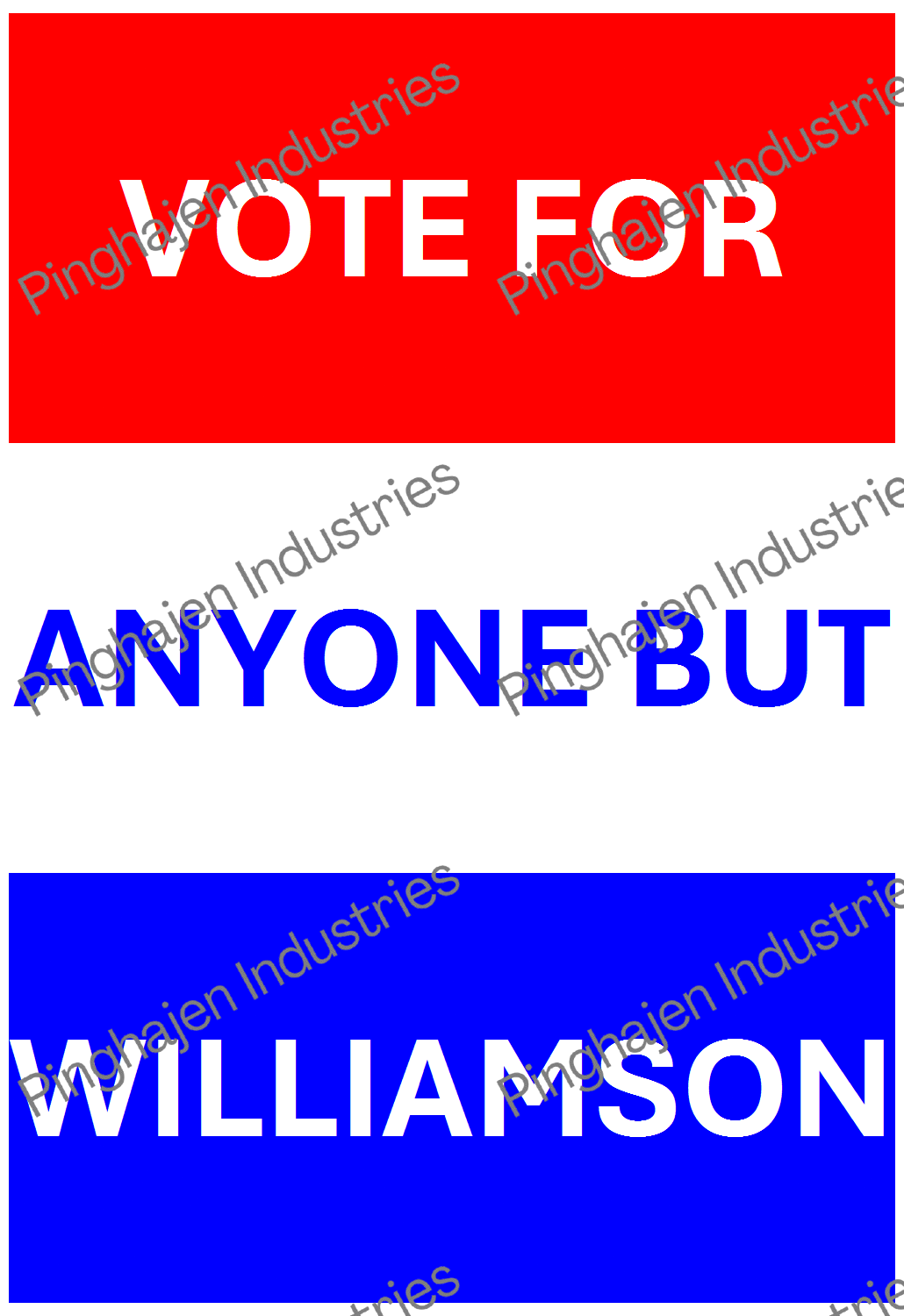 Vote for anyone but WILLIAMSON | Hardcover Bound Notebook | JournalBook®