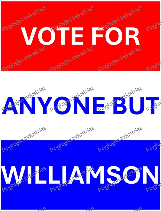 Vote for anyone but WILLIAMSON | Unisex Classic Tee | Gildan 5000