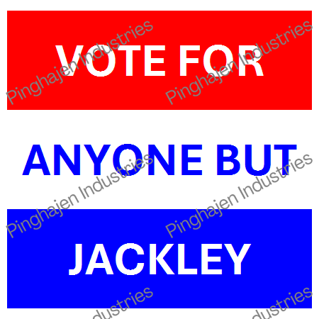 Vote for anyone but JACKLEY | Unisex Classic Tee | Gildan 5000