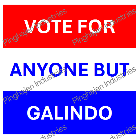 Vote for anyone but GALINDO | Unisex Classic Tee | Gildan 5000