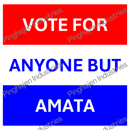 Vote for anyone but AMATA | Unisex Classic Tee | Gildan 5000