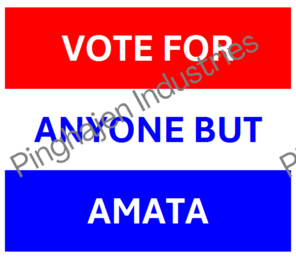 Vote for anyone but AMATA | Unisex Classic Tee | Gildan 5000