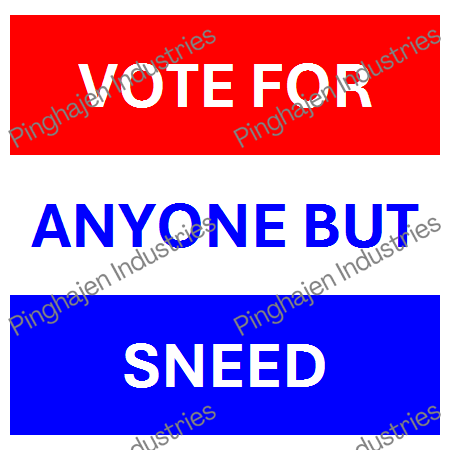 Vote for anyone but SNEED | Unisex Classic Tee | Gildan 5000