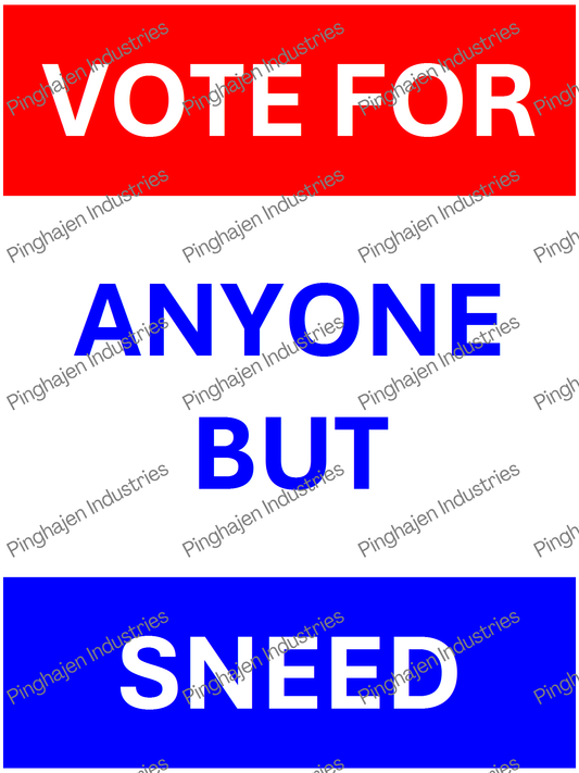 Vote for anyone but SNEED | Unisex Classic Tee | Gildan 5000
