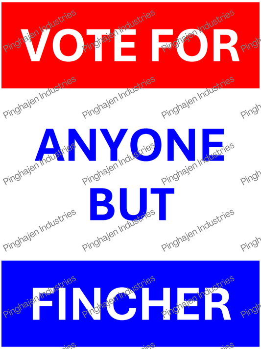 Vote for anyone but FINCHER | Unisex Classic Tee | Gildan 5000