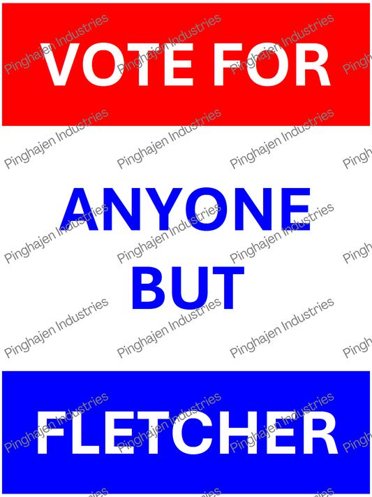 Vote for anyone but FLETCHER | Unisex Classic Tee | Gildan 5000