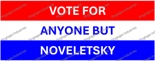 Vote for anyone but NOVELETSKY | White Glossy Mug