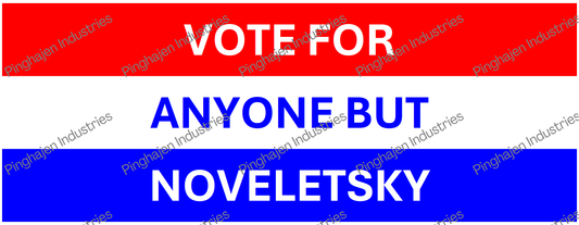 Vote for anyone but NOVELETSKY | White Glossy Mug