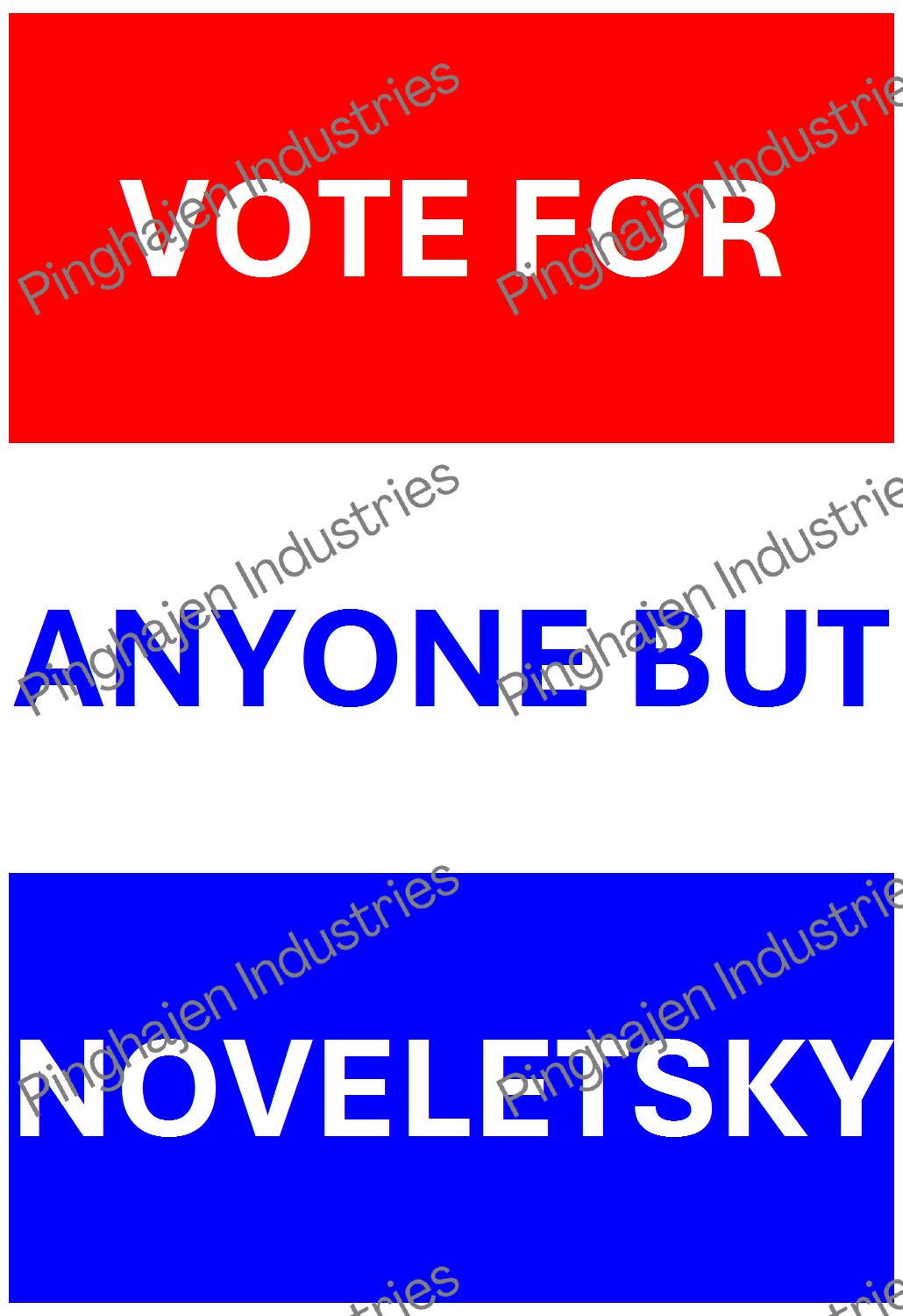 Vote for anyone but NOVELETSKY | Hardcover Bound Notebook | JournalBook®