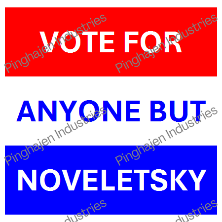 Vote for anyone but NOVELETSKY | Unisex Classic Tee | Gildan 5000