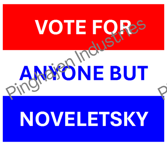 Vote for anyone but NOVELETSKY | Unisex Classic Tee | Gildan 5000