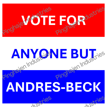 Vote for anyone but ANDRES-BECK | Unisex Classic Tee | Gildan 5000
