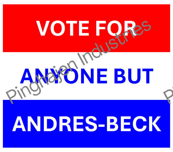 Vote for anyone but ANDRES-BECK | Unisex Classic Tee | Gildan 5000
