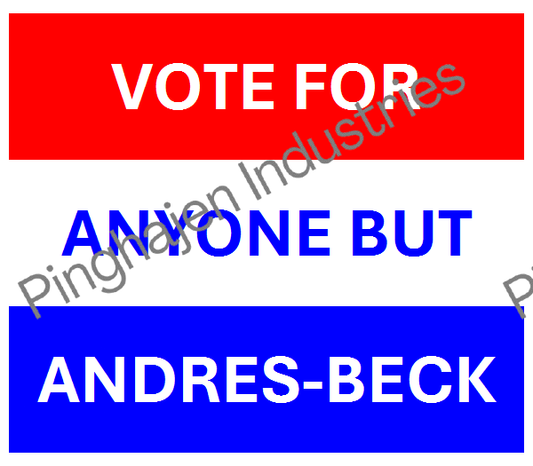 Vote for anyone but ANDRES-BECK | Unisex Classic Tee | Gildan 5000