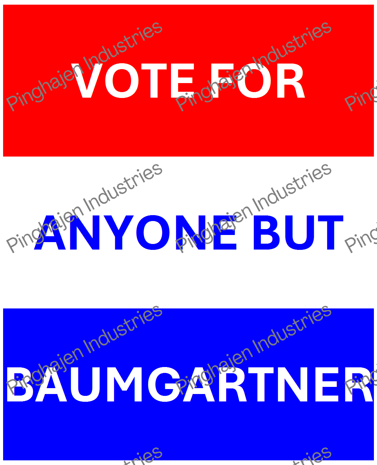 Vote for anyone but BAUMGARTNER | Hardcover Bound Notebook | JournalBook®