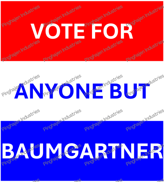 Vote for anyone but BAUMGARTNER | Unisex Classic Tee | Gildan 5000