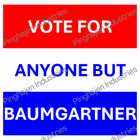 Vote for anyone but BAUMGARTNER | Unisex Classic Tee | Gildan 5000
