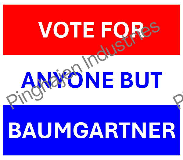 Vote for anyone but BAUMGARTNER | Unisex Classic Tee | Gildan 5000