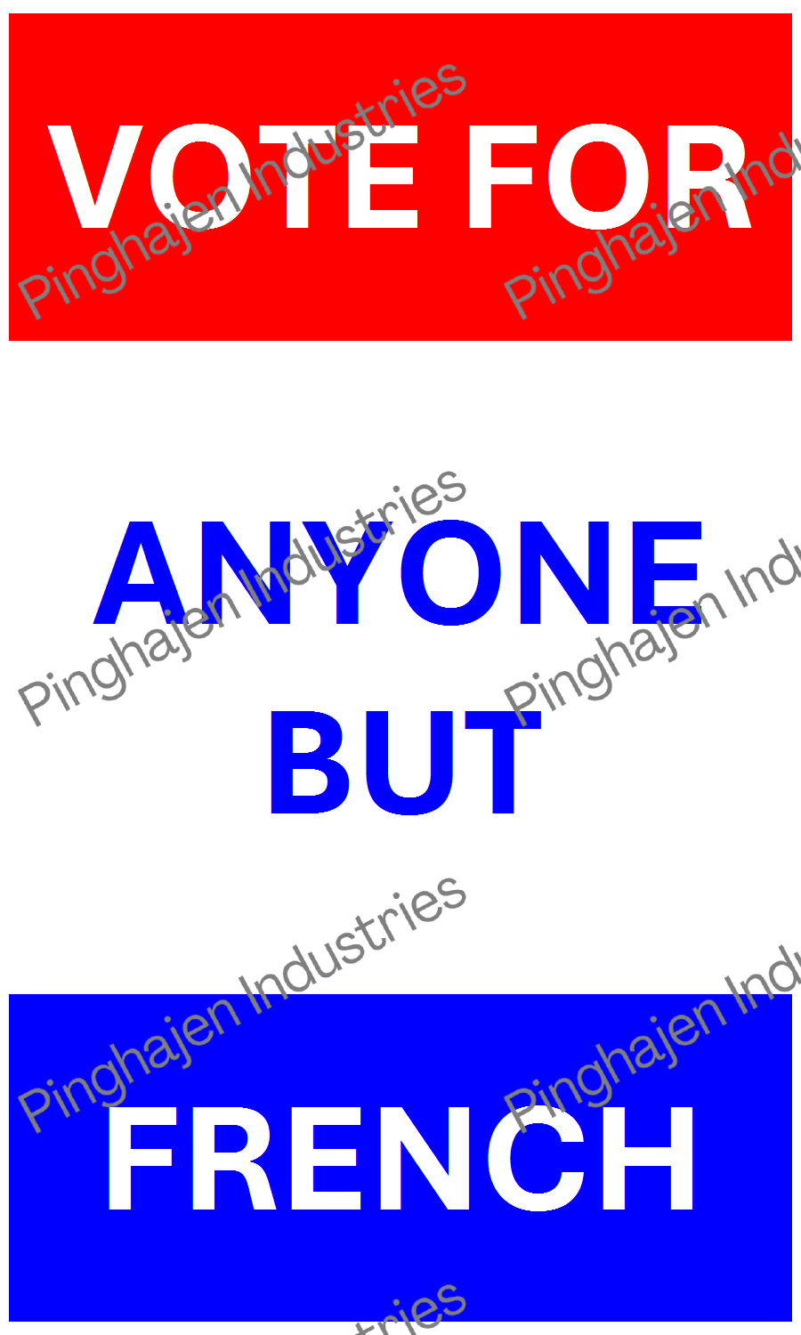 Vote for anyone but FRENCH | Hardcover Bound Notebook | JournalBook®