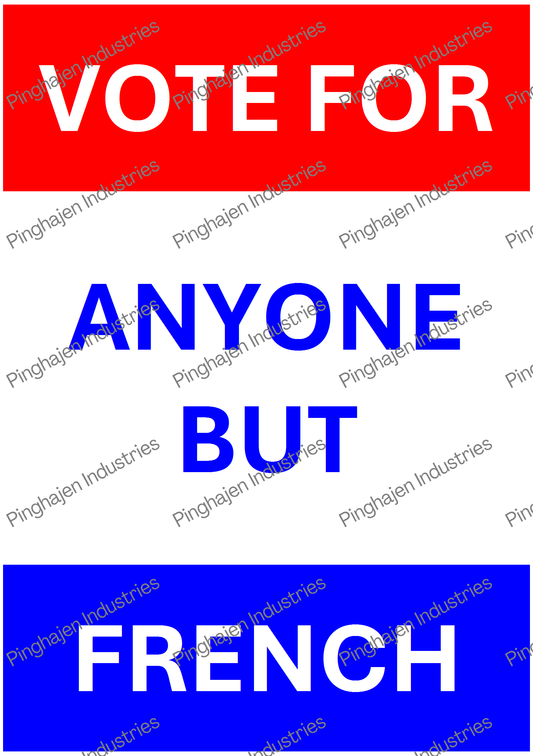 Vote for anyone but FRENCH | Kiss-Cut Sticker Sheet