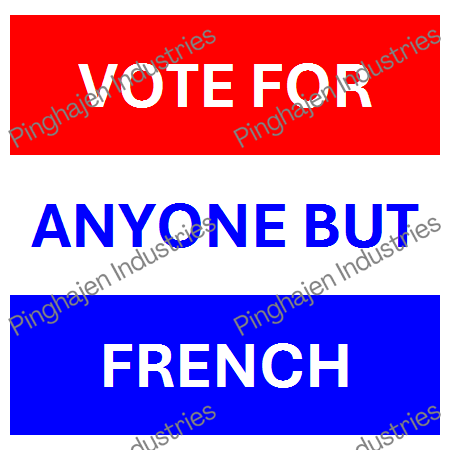 Vote for anyone but FRENCH | Unisex Classic Tee | Gildan 5000