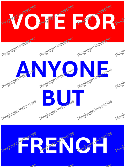 Vote for anyone but FRENCH | Unisex Classic Tee | Gildan 5000